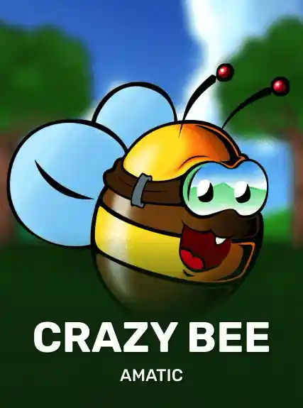 Crazy Bee