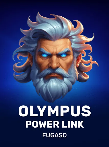 Olympus Power Link